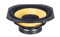 Focal 10K 6411