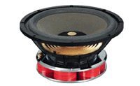 Audiom 13 VX