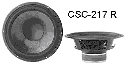 CSC217R