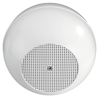 Wall and ceiling speakers: Low-impedance / 100 V, Weatherproof PA ball speaker EDL-420/WS
